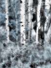USA-Utah-Aspen Grove in infrared of the Logan Pass area Art Print